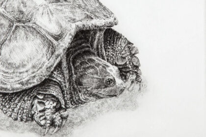 Thumbnail for the post titled: Currently in the Long Gallery–The Nature of Whimsy: The Magical Etchings of J. Ann Eldridge